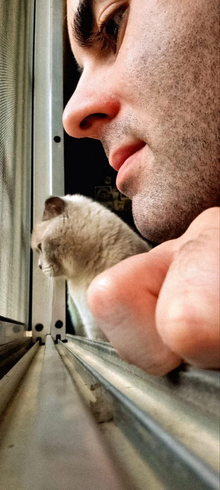 Lotus beside a person looking outside through an open window